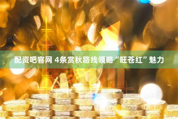 配资吧官网 4条赏秋路线领略“旺苍红”魅力