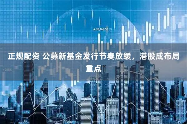 正规配资 公募新基金发行节奏放缓，港股成布局重点